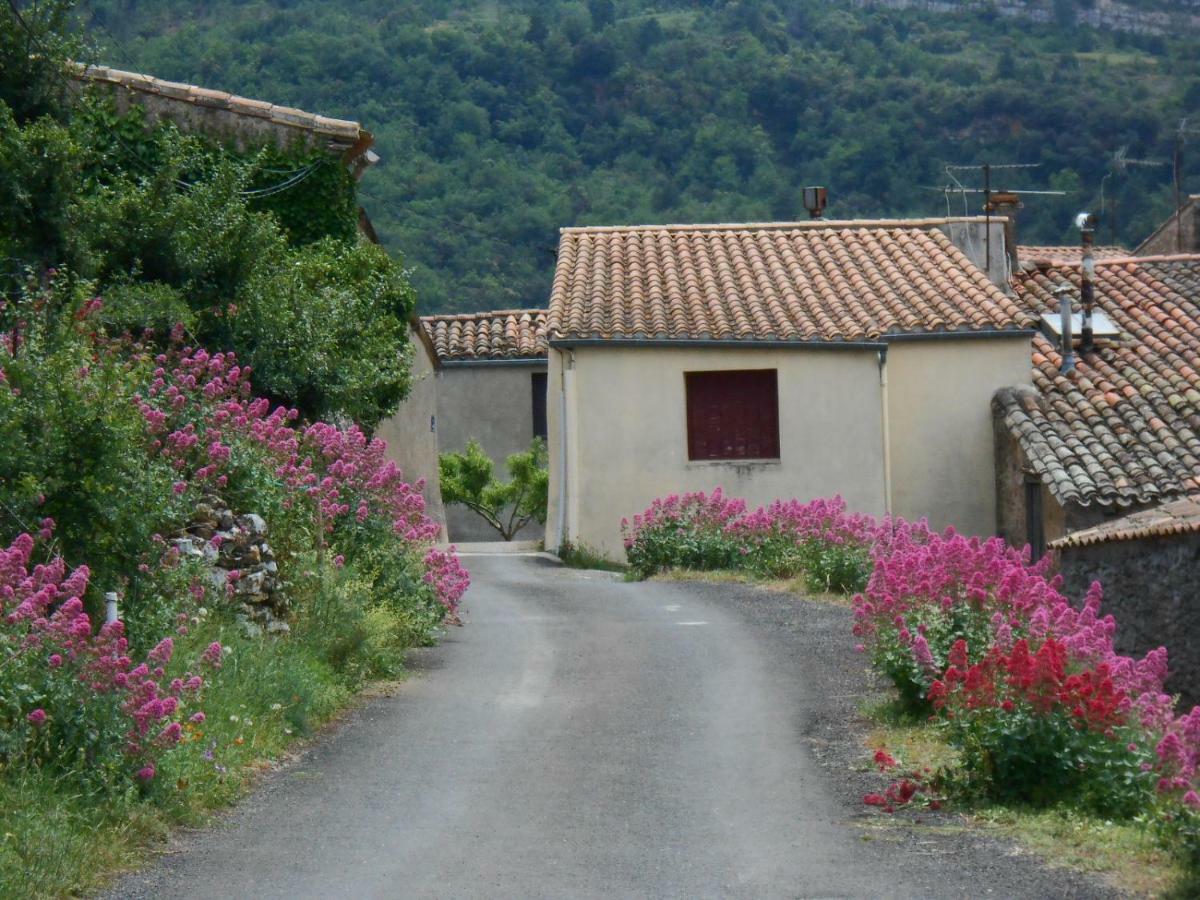Maison Palmeral Coustaussa Exterior photo